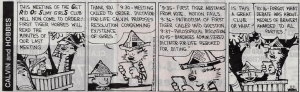 Calvin & Hobbes Lesson in Governance